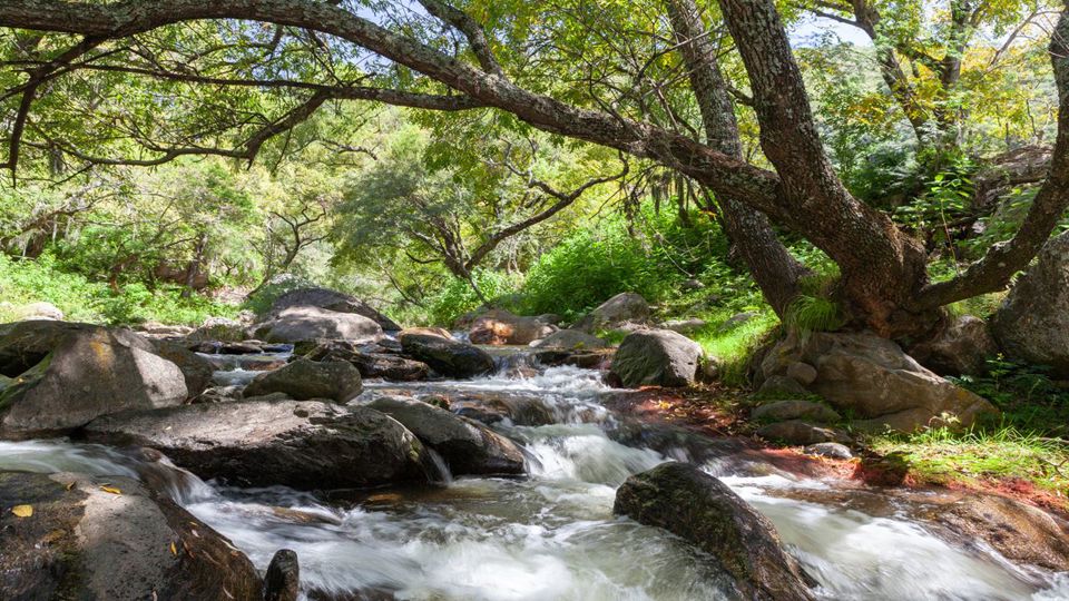 Tourist Circuit: Portezuelo Pass to San Fernando foto 11