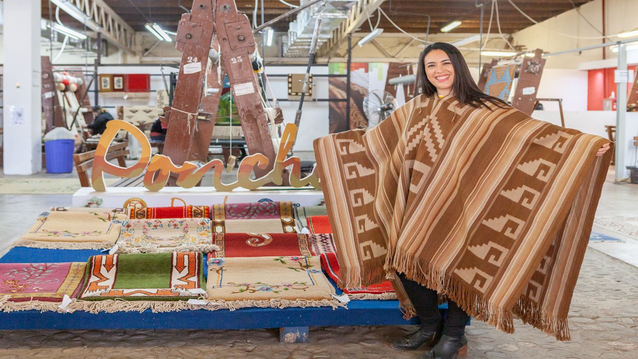 Private City Tour (4)