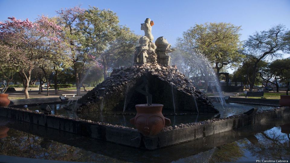 Full-Day Portezuelo Pass Journey foto 11