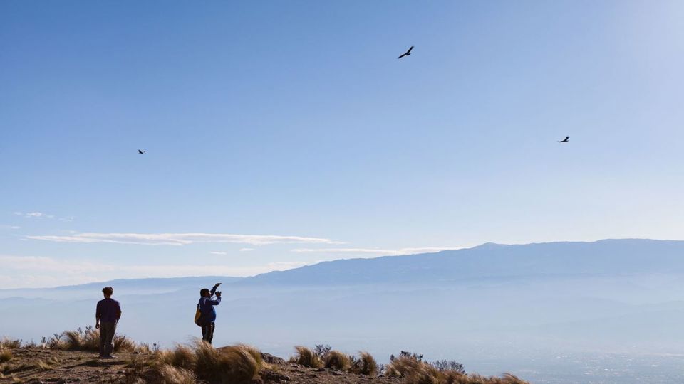 Full-Day Portezuelo Pass Journey foto 2