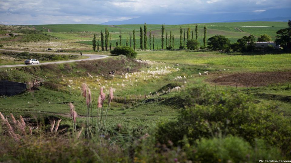 Singuil Pass & Balcozna Day Trip foto 3