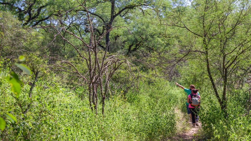 Private Journey to Ancasti: La Tunita Cave Paintings foto 6