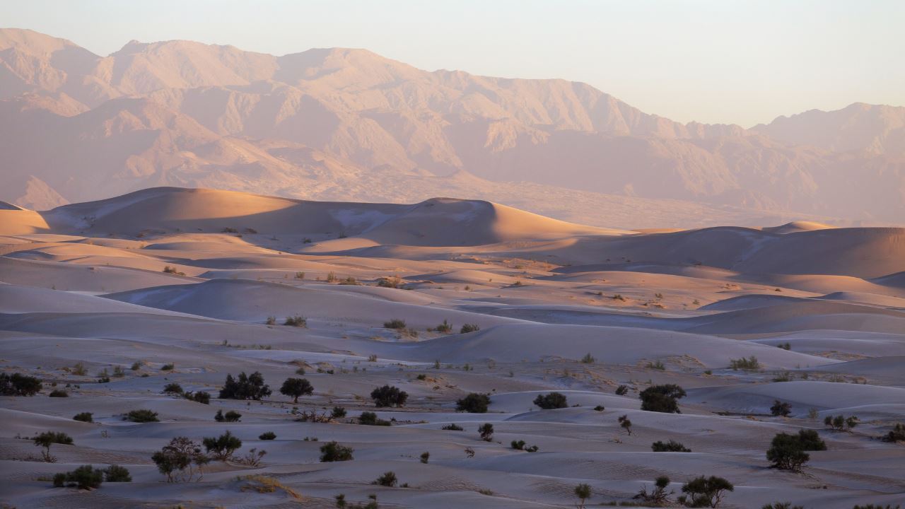 Visite Des Dunes De Tatón Et Du Canyon Indio foto 2