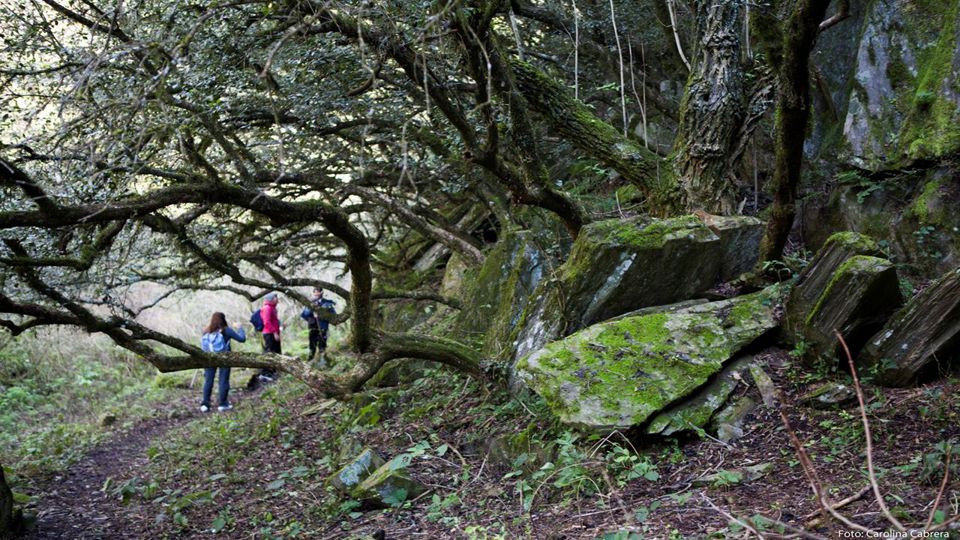 Los Ángeles & Concepción (Catamarca) Private Journey foto 4